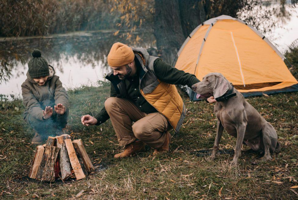 A man and young girl warm their hands over a just starting camp fire. The man uses one hand to restrain their pet dog at a safe distance from the fire. The dog appears to be a Weimararner. In the background there is a bright yellow tent, and a lake. 